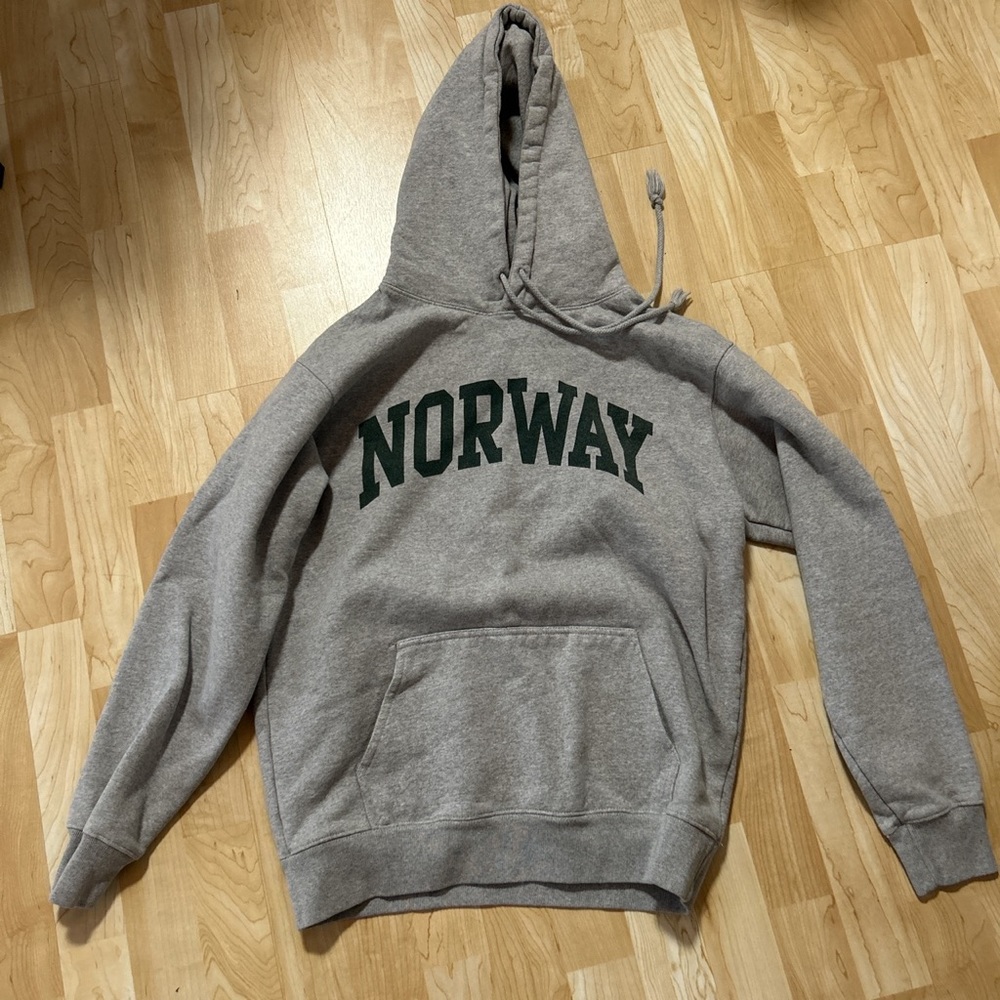 Brandy Melville hoodie